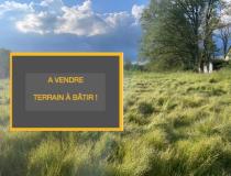 annonce vente terrain heric 44810