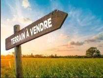 annonce vente terrain hesingue 68220