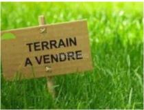 annonce vente terrain hitiaa o te ra 98705