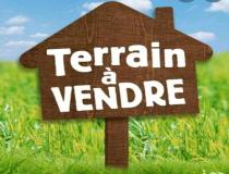 annonce vente terrain ingre 45140