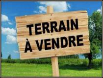 annonce vente terrain iracoubo 97350