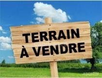 annonce vente terrain l abergement ste colombe 71370