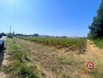 annonce vente terrain l ardoise 30290