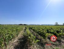 annonce vente terrain l ardoise 30290