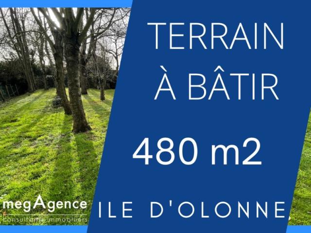 annonce vente terrain l ile d olonne 85340