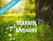 annonce vente terrain la bouexiere 35340