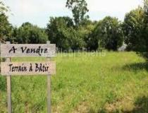 annonce vente terrain la brede 33650