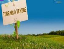 annonce vente terrain la bretagne 97490