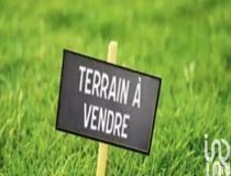 annonce vente terrain la chapelle hermier 85220