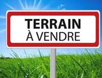 annonce vente terrain la ferte st aubin 45240