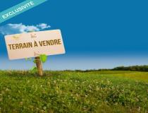 annonce vente terrain la genete 71290