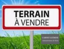 annonce vente terrain la haie fouassiere 44690