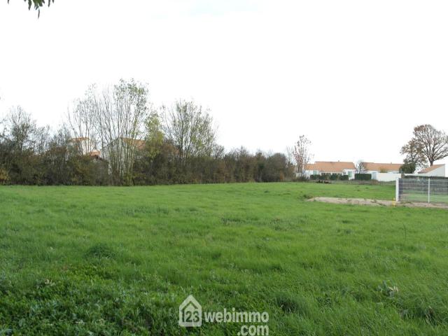 annonce vente terrain la jonchere 85540