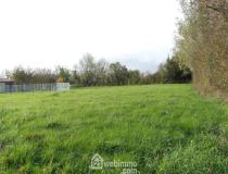 vente terrain La Jonchere - 7440164:4