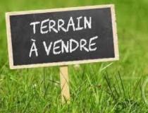 annonce vente terrain la norville 91290