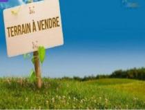 annonce vente terrain la plaine des palmistes 97431