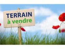 annonce vente terrain la queue en brie 94510