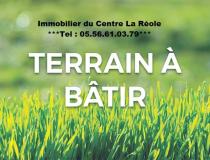 annonce vente terrain la reole 33190