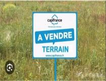 annonce vente terrain la riviere 97421