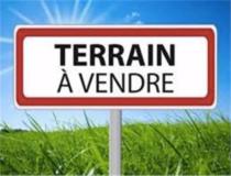 annonce vente terrain la riviere 97421