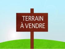 annonce vente terrain la riviere 97421