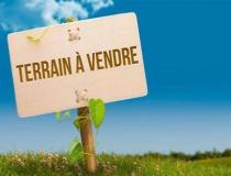 annonce vente terrain la saline 97422