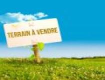 annonce vente terrain la source 45100