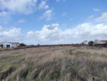 vente terrain La Tranche Sur Mer - 7667668:4