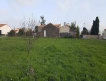 annonce vente terrain lairoux 85400