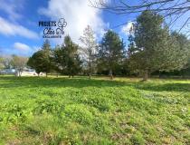 Immobilier terrain Landeronde 85150 [4/7720721]