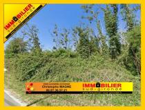 annonce vente terrain landiras 33720