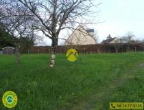 annonce vente terrain langeais 37130