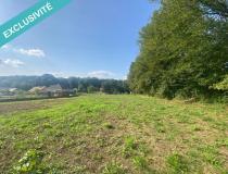 annonce vente terrain larians et munans 70230