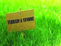 annonce vente terrain larmor baden 56870