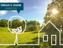 annonce vente terrain launaguet 31140