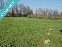 annonce vente terrain le douhet 17100