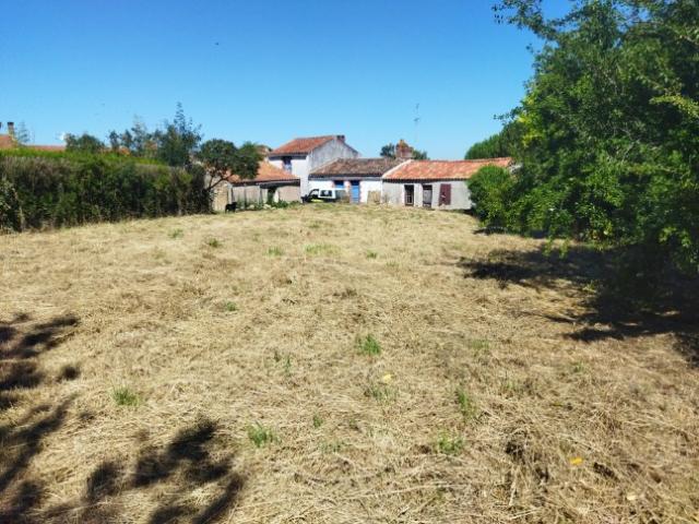 annonce vente terrain le givre 85540