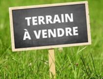 annonce vente terrain le morne rouge 97260