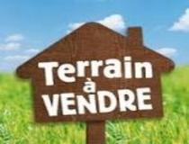 annonce vente terrain le moule 97160