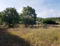 Vente terrain Le Pouget 34230 [4/7652173]