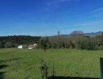 annonce vente terrain le pouget 34230