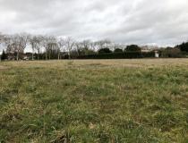 annonce vente terrain leguevin 31490