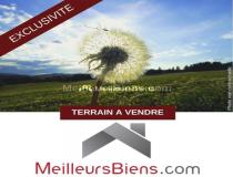 annonce vente terrain les avirons 97425