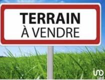 annonce vente terrain les avirons 97425