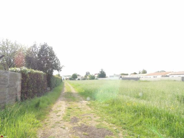 annonce vente terrain les magnils reigniers 85400