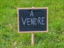 annonce vente terrain les makes 97421