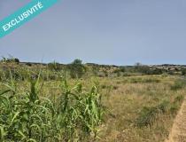 annonce vente terrain lespignan 34710