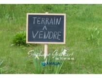 annonce vente terrain lieu st amand 59111