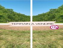 annonce vente terrain ligne 44850