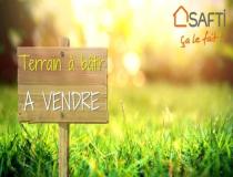 annonce vente terrain linas 91310